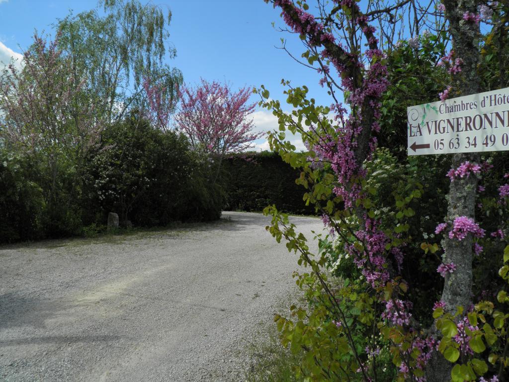 Chambres D'Hotes La Vigneronne Senouillac エクステリア 写真